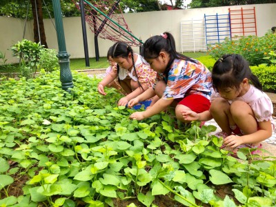 VUI CHƠI NGOÀI TRỜI