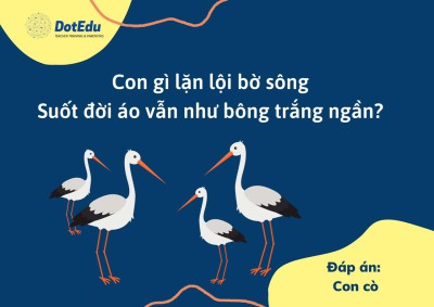 BỐ MẸ CÙNG CHƠI VỚI BÉ