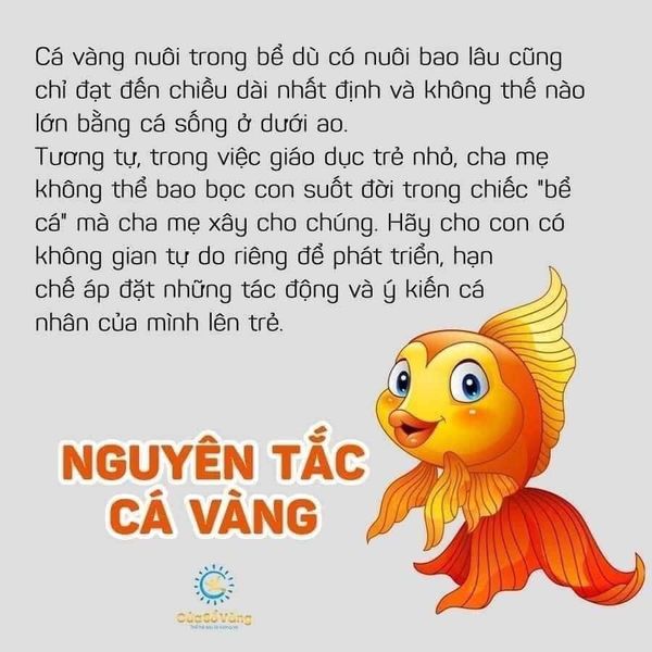 4 NGUYÊN TẮC NUÔI DẠY CON NỔI TIẾNG THẾ GIỚI